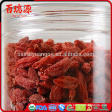 Saludable caloría goji goji berry dragon hierbas Ningxia goji berry